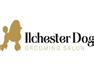 Ilchester Dog Grooming Yeovil